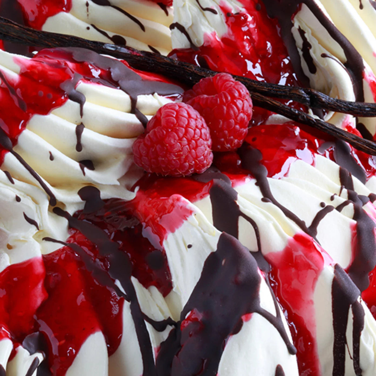 IRCA JOYGELATO JOYPASTE VANILLA BOURBON MADAGASCAR AROMA 1.2 KG (1 in a box)