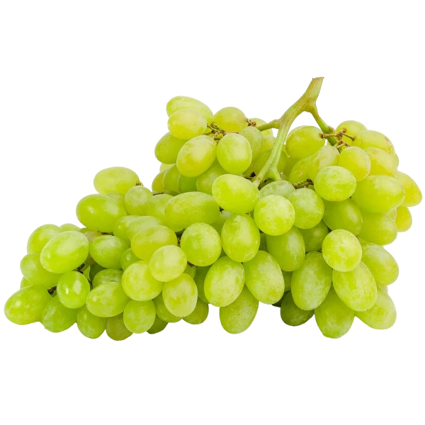 FRESH FRUITS GRAPES SEEDLESS WHITE ARRA £7.12 AL KG (APPROX 6 KG) - ONLY LONDON AREA