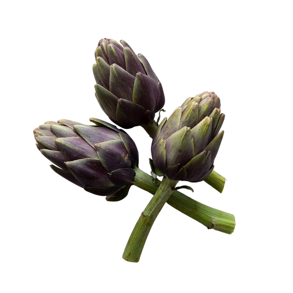 FRESH VEGETABLES ARTICHOKES PURPLE STEM (16 in a box) - ONLY LONDON AREA