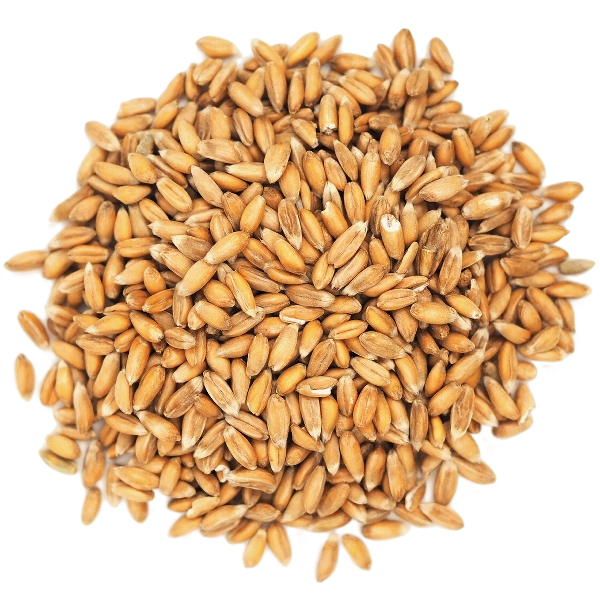 FRESH VEGETABLES DRY SPELT 5 KG (1 in a box) - ONLY LONDON AREA