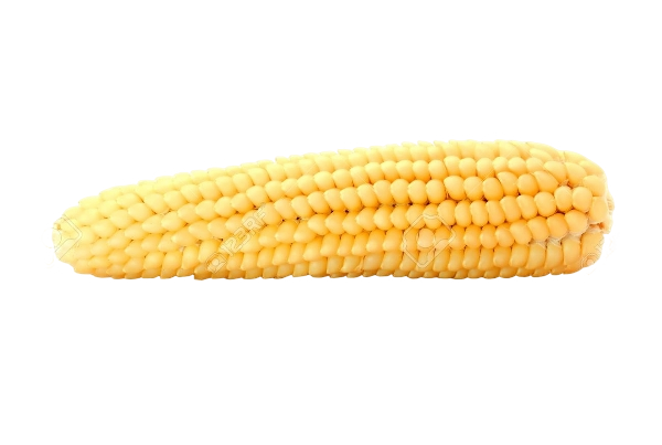 FRESH VEGETABLES CORN COB (10 in a box) - ONLY LONDON AREA