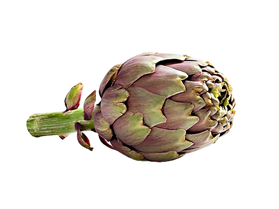 FRESH VEGETABLES ARTICHOKES MAMMOLA (16 in a box) - ONLY LONDON AREA