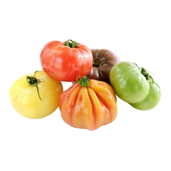 FRESH VEGETABLES TOMATO HERITAGE £4.12 AL KG (APPROX 4.65 KG) - ONLY LONDON AREA