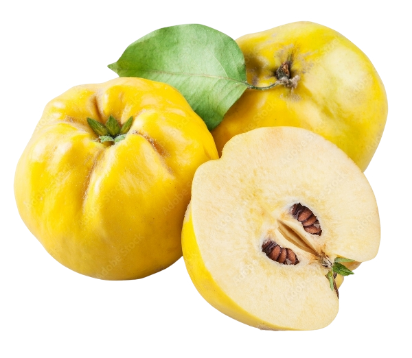 FRESH FRUITS APPLE QUINCE £2.68 AL KG (APPROX 8.5 KG) - ONLY LONDON AREA