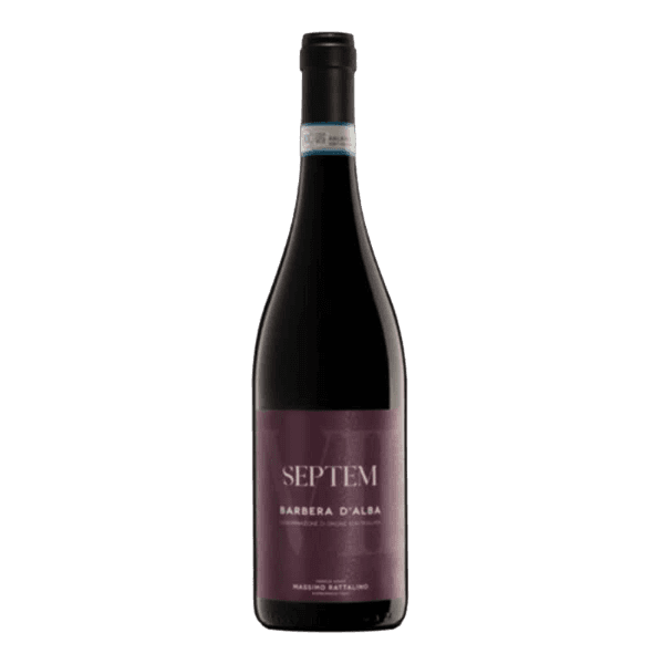 MASSIMO RATTALINO RED WINE BARBERA D'ALBA DOC " SEPTEM ", PIEDMONT, ITALY 2022 75 CL (6 IN A BOX)