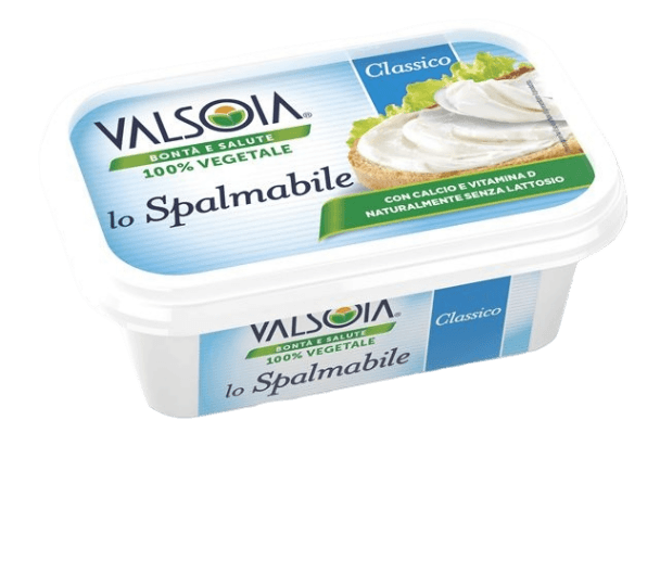 VALSOIA CHEESE ALTERNATIVES SPREAD SPALMABILE 100% VEGETAL 125 GR (9 in a box)