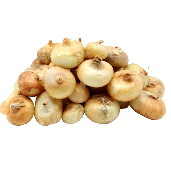FRESH VEGETABLES ONION BORETTANE £2.56 AL KG (APPROX 5 KG) - ONLY LONDON AREA