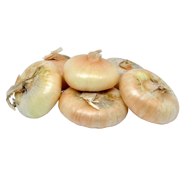 FRESH VEGETABLES ONION BORETTANE 6 PUNNETS (1 in a box) - ONLY LONDON AREA