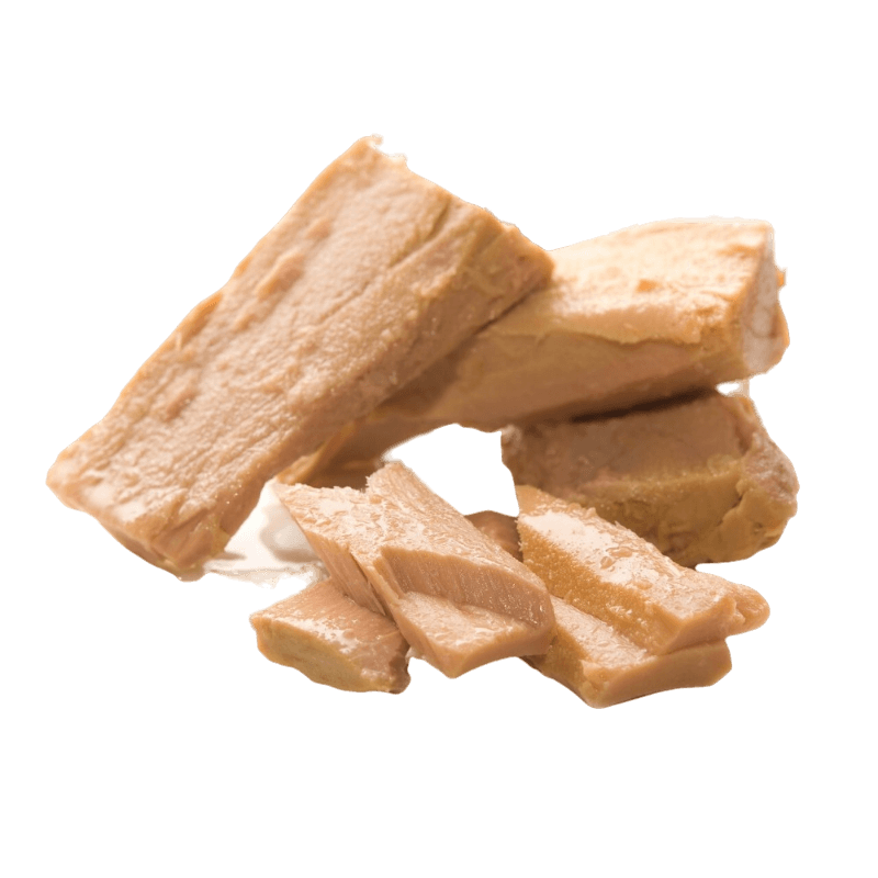 IASA TUNA FILLETS IN OLIVE OIL 1.7 KG (8 in a box)