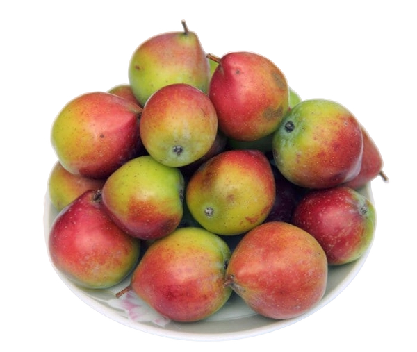 FRESH FRUITS PEAR SORBOLE £4.44 AL KG (APPROX 12 KG) - ONLY LONDON AREA