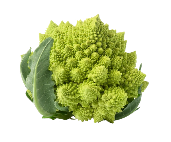 FRESH VEGETABLES CAULIFLOWER ROMANESQUE £3.63 AL KG (APPROX 8.6 KG) - ONLY LONDON AREA