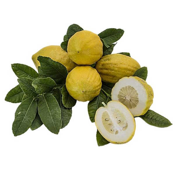 FRESH FRUITS CEDRO DIAMOND £4.56 AL KG (APPROX 6.5 KG) - ONLY LONDON AREA