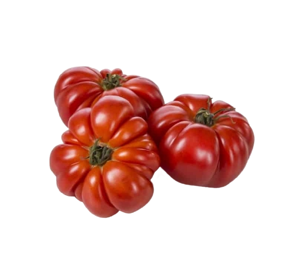 FRESH VEGETABLES TOMATO COSTOLUTO £4.63 AL KG (APPROX 5 KG) - ONLY LONDON AREA