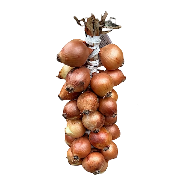 FRESH VEGETABLES ONION GOLD CANNARA STRING £3.68 AL KG (APPROX 7 KG) - ONLY LONDON AREA