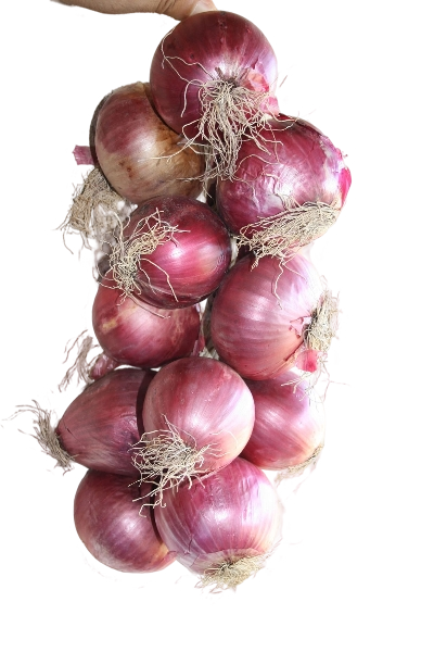 FRESH VEGETABLES ONION RED TROPEA DRY STRING BUNCH £2.43 AL KG (APPROX 13.95 KG) - ONLY LONDON AREA