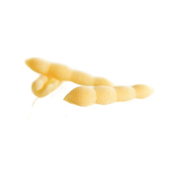 GRANORO PASTA DI SEMOLA CAVATELLI MURGIANI N.137 500 GR (20 in a box)