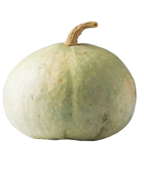 FRESH VEGETABLES SQUASH CASTAGNA £2.75 AL KG (APPROX 11.5 KG) - ONLY LONDON AREA