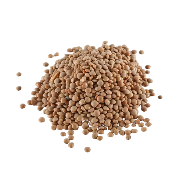 FRESH VEGETABLES DRY LENTILS 5 KG (1 in a box) - ONLY LONDON AREA