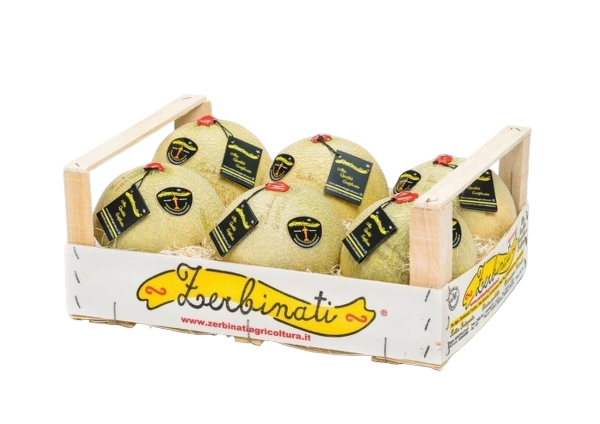 FRESH FRUITS MELON ZERBINATI X6 £7.18 AL KG (APPROX 6.7 KG) - ONLY LONDON AREA