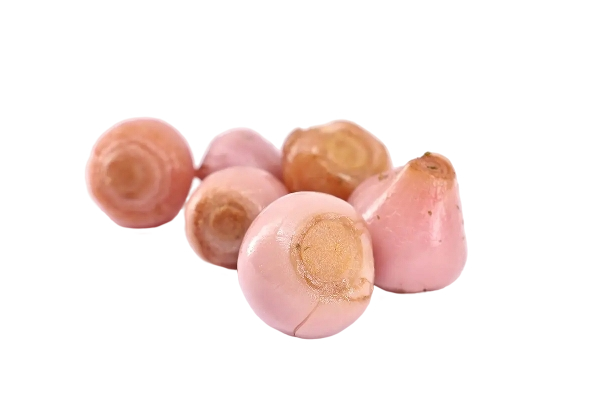 FRESH VEGETABLES ONION LAMPASCIONI £8.37 AL KG (APPROX 9.7 KG) - ONLY LONDON AREA