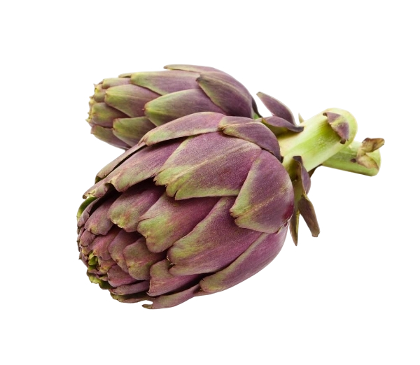 FRESH VEGETABLES ARTICHOKES THEMA LEAFY (16 in a box) - ONLY LONDON AREA