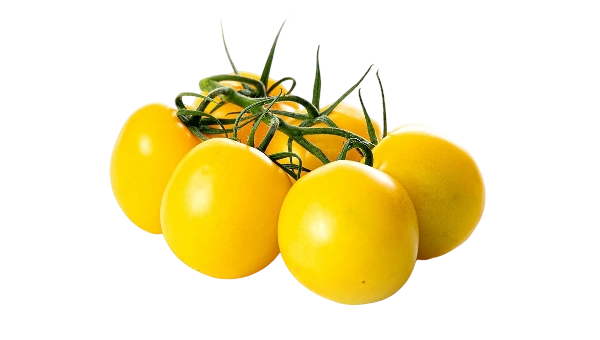 FRESH VEGETABLES TOMATO CHERRY ON THE VINE YELLOW £7.31 AL KG (APPROX 7.65 KG) - ONLY LONDON AREA