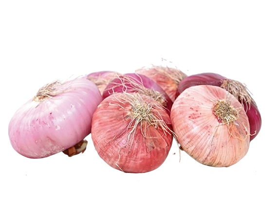 FRESH VEGETABLES ONION ACQUAVIVA £4.68 AL KG (APPROX 5 KG) - ONLY LONDON AREA