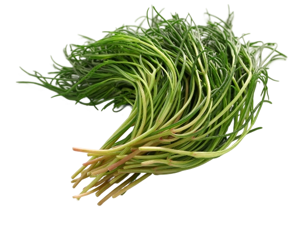FRESH VEGETABLES MONKS BEARD £9.37 AL KG (APPROX 5.7 KG) - ONLY LONDON AREA