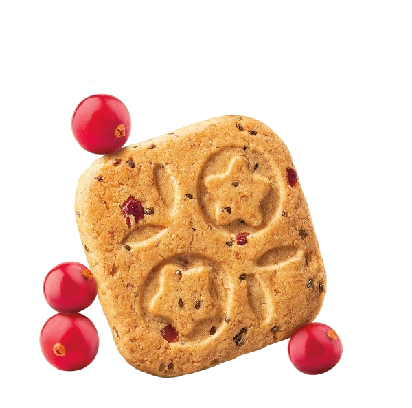 MULINO BIANCO ARMONIA BISCOTTI WHOLEMEAL MIRTILLINI 270 GR (10 in a box)