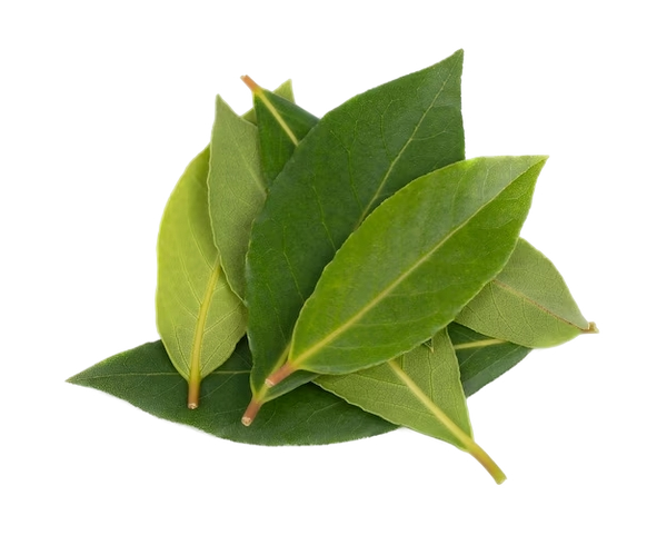FRESH VEGETABLES BAY LEAVES X10 OF 100 GR (1 in a box ) - ONLY LONDON AREA