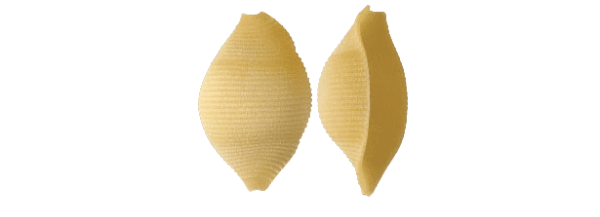 RUMMO PASTA DI SEMOLA CONCHIGLIONI RIGATI N.147 500 GR (12 in a box)