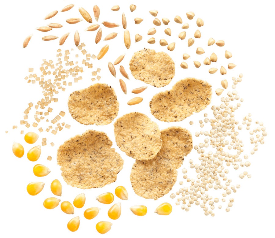 MISURA PLANT BASED CEREALS CEREALI ANTICHI 350 GR (10 in a box)