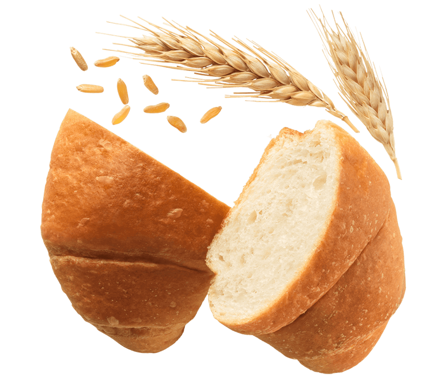 MISURA PRIVOLAT CORNETTI CLASSIC EMPTY X6 290 GR (8 in a box)