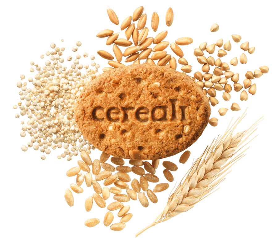 MISURA MULTICEREALI BISCOTTI WHOLEMEAL CORN OAT SPELT 330 GR (10 in a box)