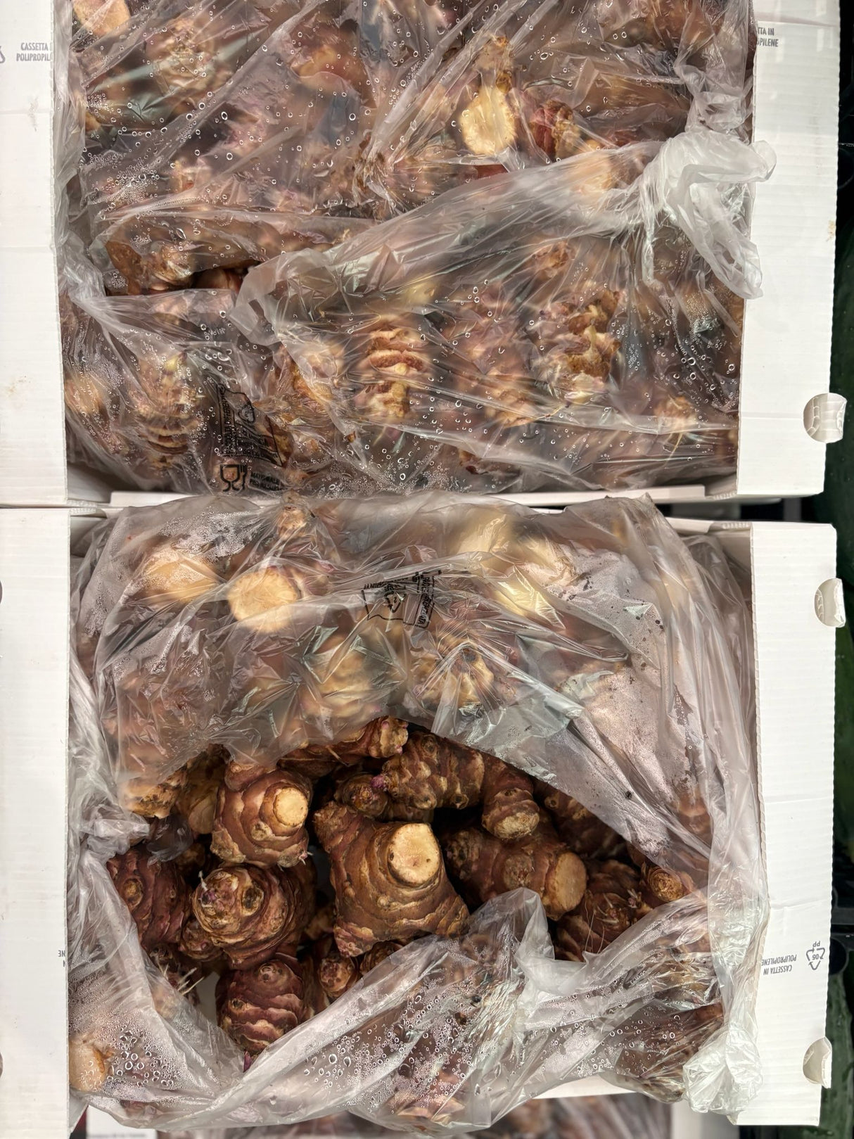FRESH VEGETABLES ARTICHOKES JERUSALEM £3.25 AL KG (APPROX 7.2 KG) - ONLY LONDON AREA