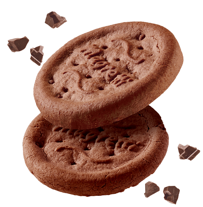 GALBUSERA BISCOTTI MAGRETTI DROPS OF CHOCOLATE X6 260 GR (10 in a box)