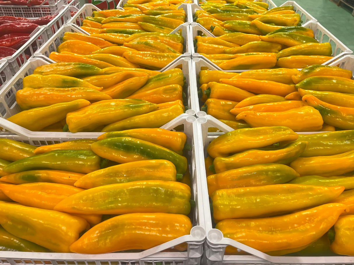 FRESH VEGETABLES PEPPERS CORN YELLOW £2.56 AL KG (APPROX 6 KG) - ONLY LONDON AREA