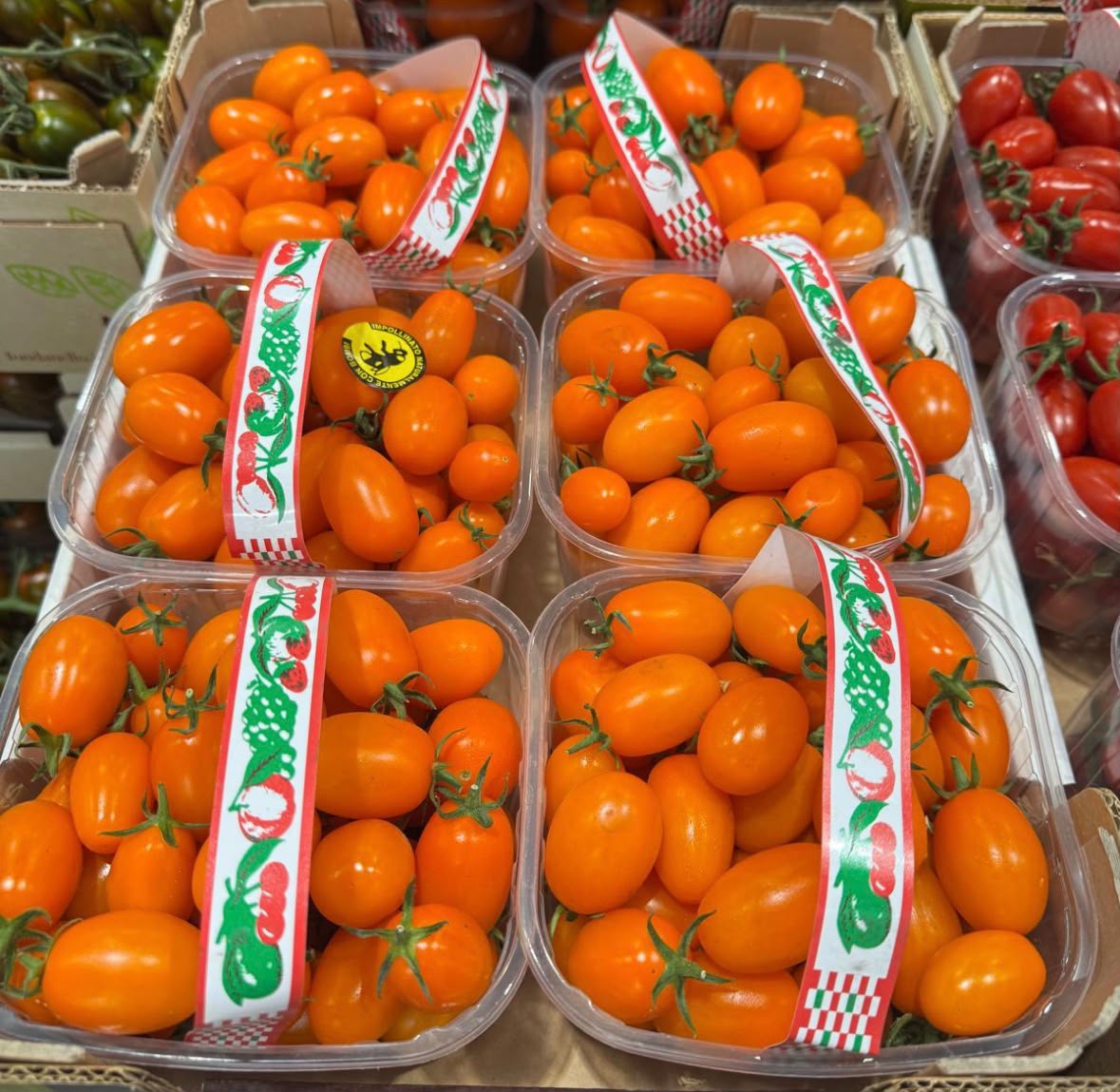 FRESH VEGETABLES TOMATO BABY PLUM ORANGE £5.75 AL KG (APPROX 4.55 KG) - ONLY LONDON AREA