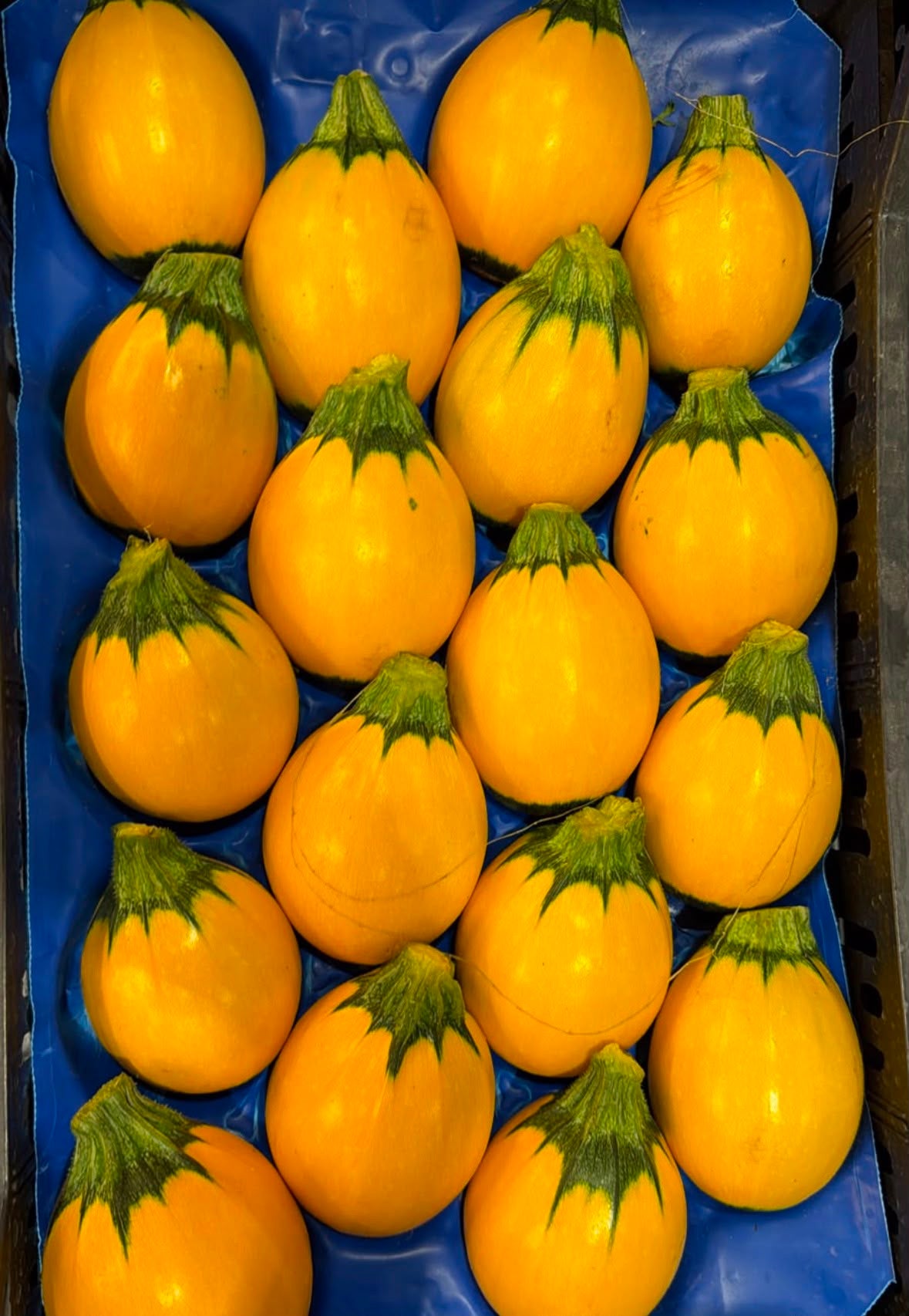 FRESH VEGETABLES COURGETTES ROUND YELLOW £3.68 AL KG (APPROX 5.4 KG) - ONLY LONDON AREA