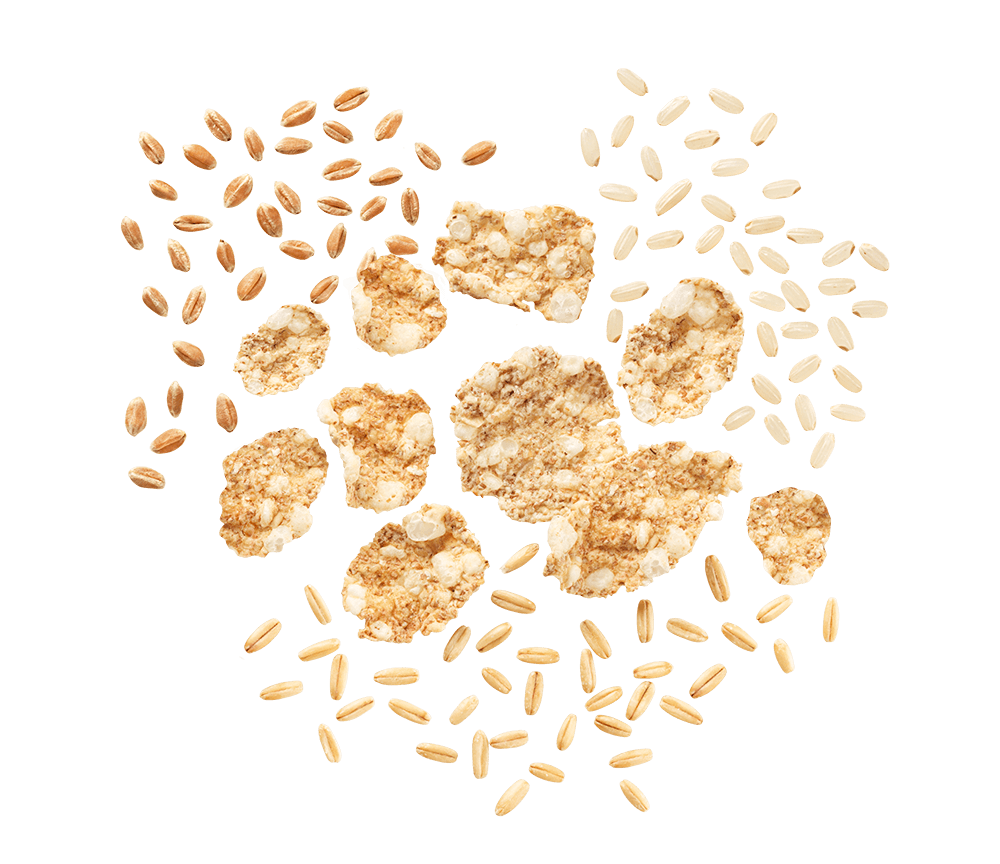 MISURA PROTEIN CEREALS WHEAT RICE AND OATS 320 GR (10 in a box)