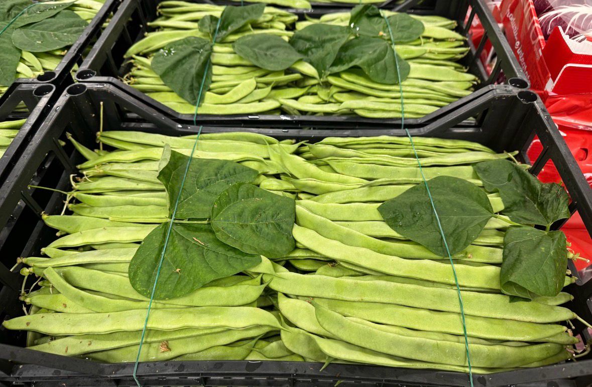 FRESH VEGETABLES BEANS FLAT GREEN TACCOLE £6.56 AL KG (APPROX 6.4 KG) - ONLY LONDON AREA