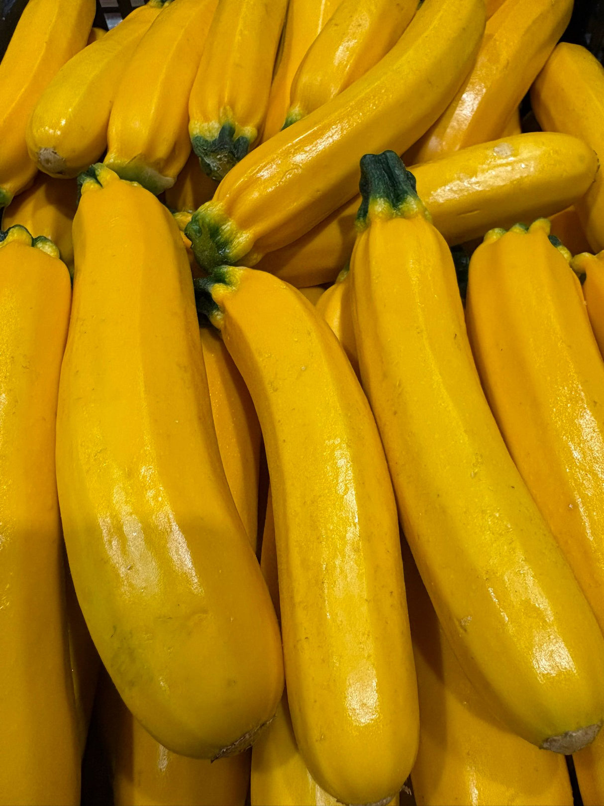 FRESH VEGETABLES COURGETTES YELLOW £3.94 AL KG (APPROX 7.05 KG) - ONLY LONDON AREA