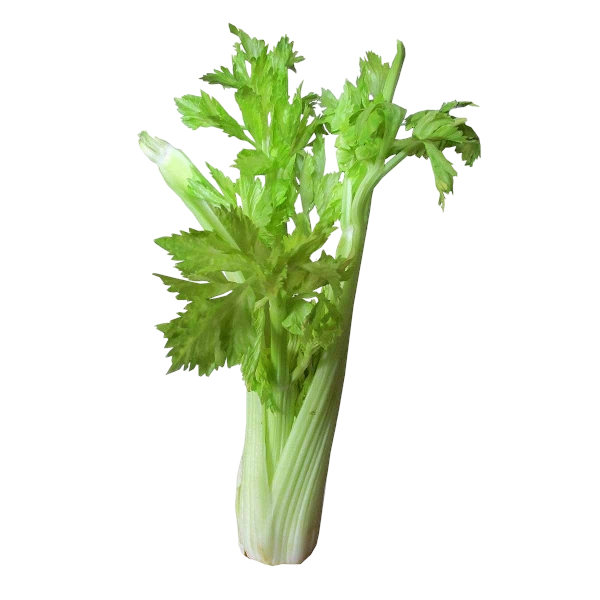 FRESH VEGETABLES CELERY LEAFY £2.12 AL KG (APPROX 4.2 KG) - ONLY LONDON AREA