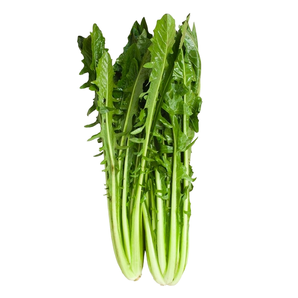 FRESH VEGETABLES CATALOGNA CICORIA LONG £1.68 AL KG (APPROX 7.2 KG) - ONLY LONDON AREA