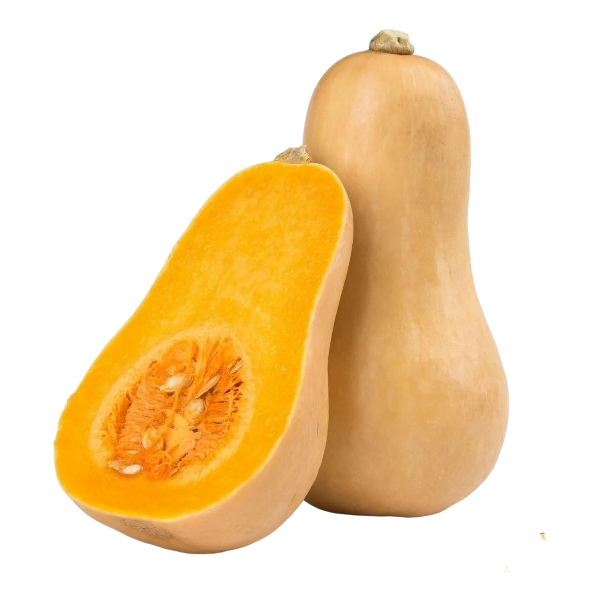 FRESH VEGETABLES SQUASH NOCCIOLA £2.62 AL KG (APPROX 11.8 KG) - ONLY LONDON AREA