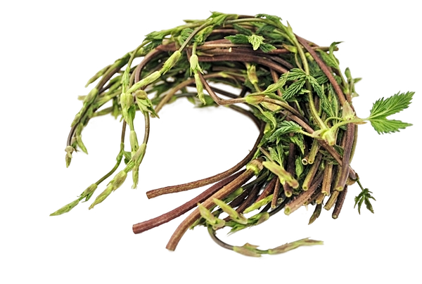 FRESH VEGETABLES HOP SPROUTS BUNCHES X10 (1 IN A BOX) - ONLY LONDON AREA