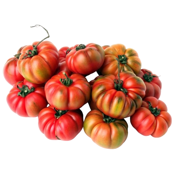 FRESH VEGETABLES TOMATO MERINDA £4.81 AL KG (APPROX 4.8 KG) - ONLY LONDON AREA