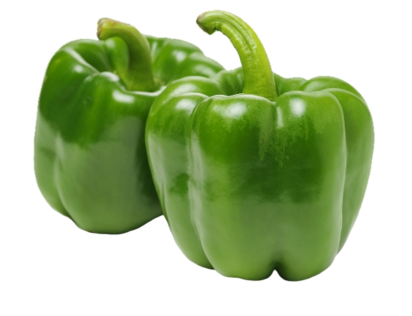 FRESH VEGETABLES PEPPERS GREEN £5.5 AL KG (APPROX 4.5 KG) - ONLY LONDON AREA