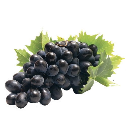 FRESH FRUITS GRAPES SEEDLESS BLACK £6.93 AL KG (APPROX 7 KG) - ONLY LONDON AREA