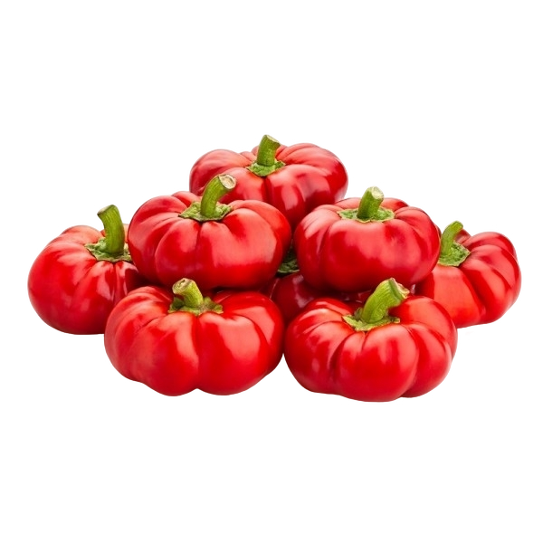 FRESH VEGETABLES PEPPERS TOPEPO RED £4.25 AL KG (APPROX 8.4 KG) - ONLY LONDON AREA